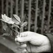 homme-femme-fleur